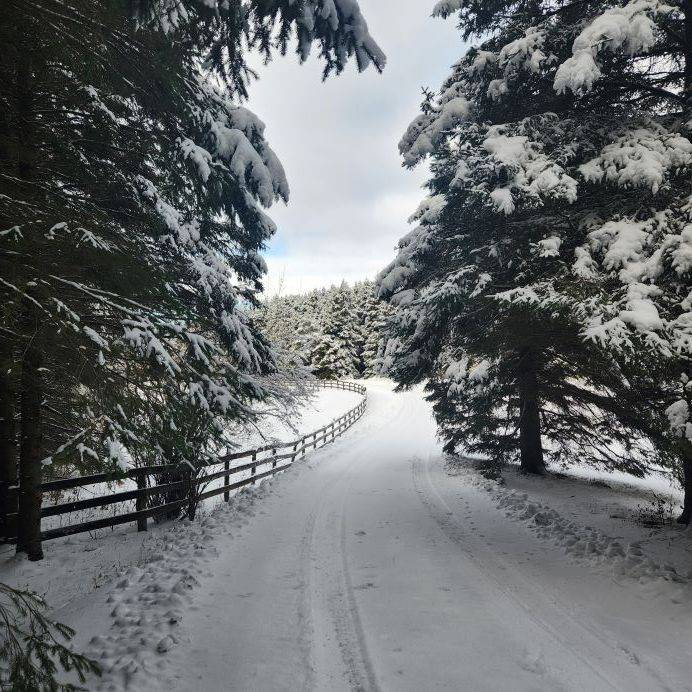 King, ON L7B 0G4,15600 7th Concession RD