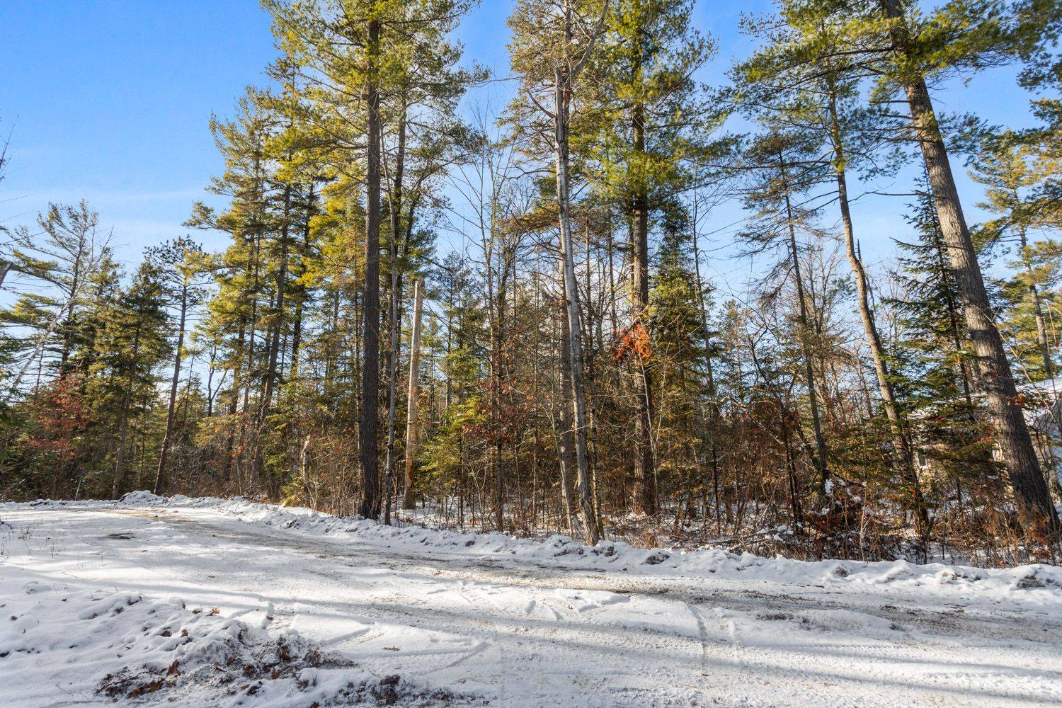 Marmora And Lake, ON K0K 2M0,00 Pineview CT