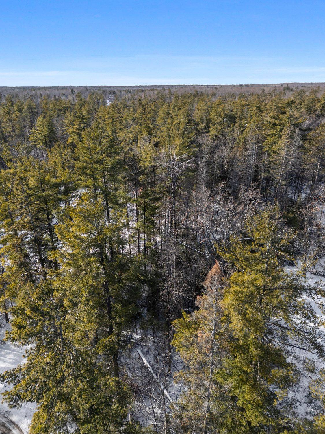 Marmora And Lake, ON K0K 2M0,00 Pineview CT