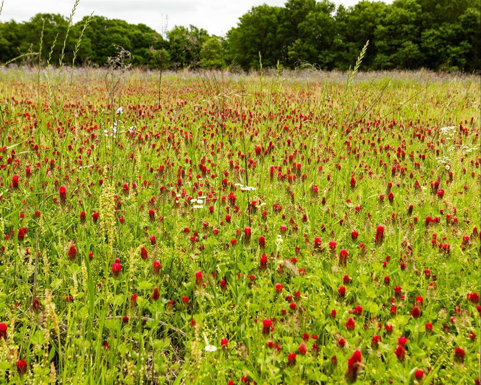 Eustace, TX 75124,540 Vz County Road 2916