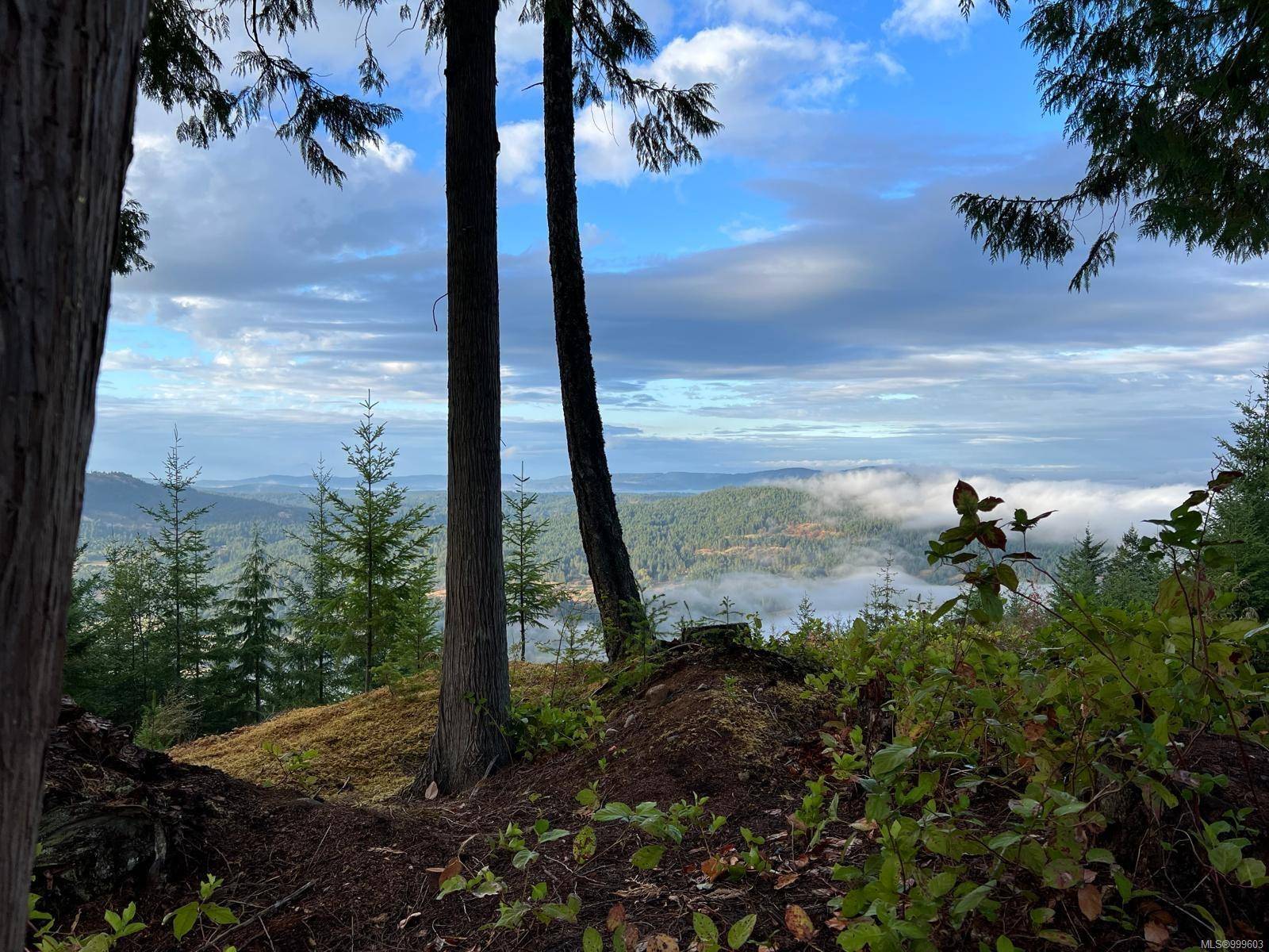 Salt Spring, BC V8K 1V5,1172 Musgrave Rd