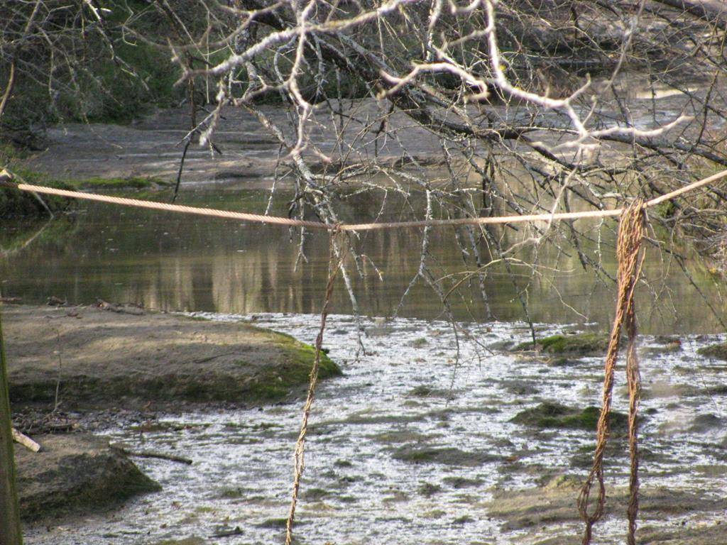 Dodd City, TX 75438,TBD CR 3330 Road