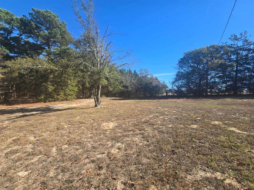 Ben Wheeler, TX 75754,221 Private Road 8807