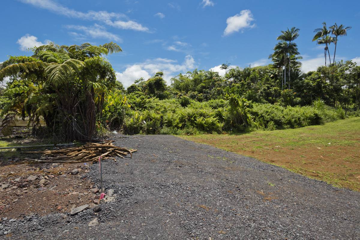 Hilo, HI 96720,1162 KAUMANA DR