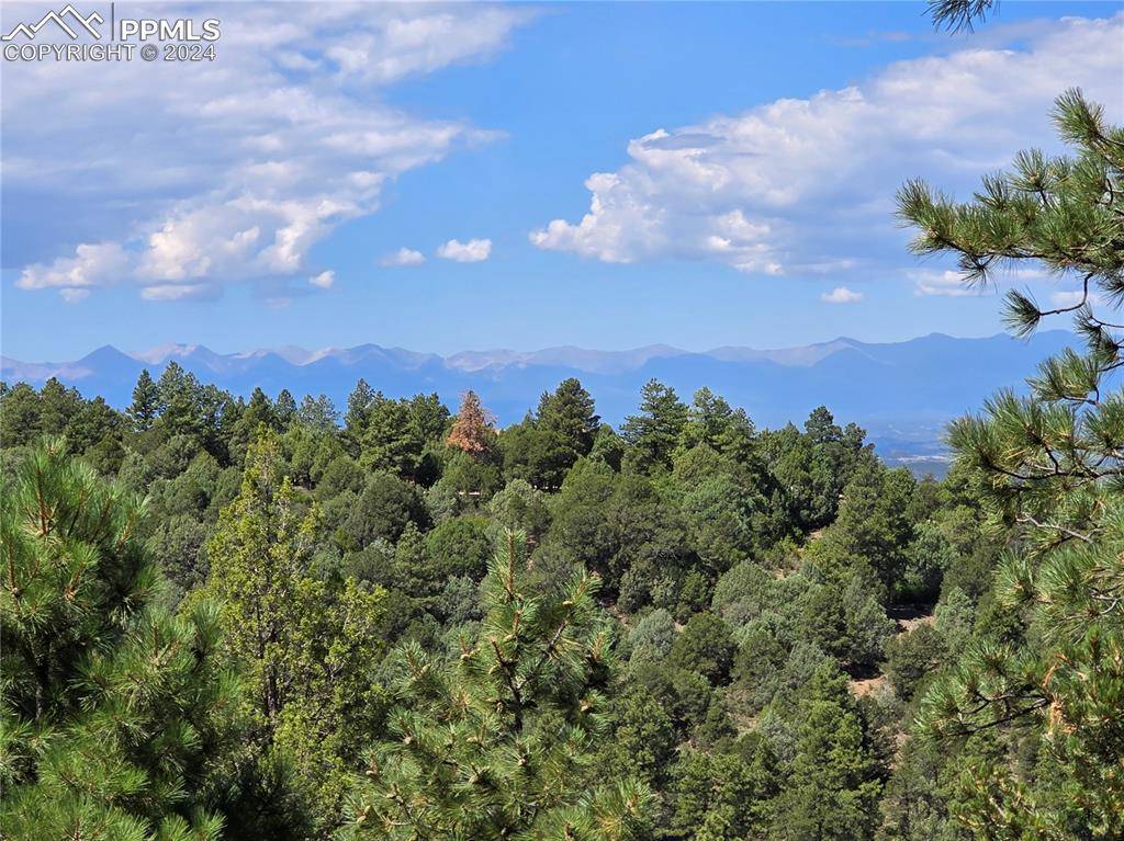 Trinidad, CO 81082,33036 Meadow Ridge LN