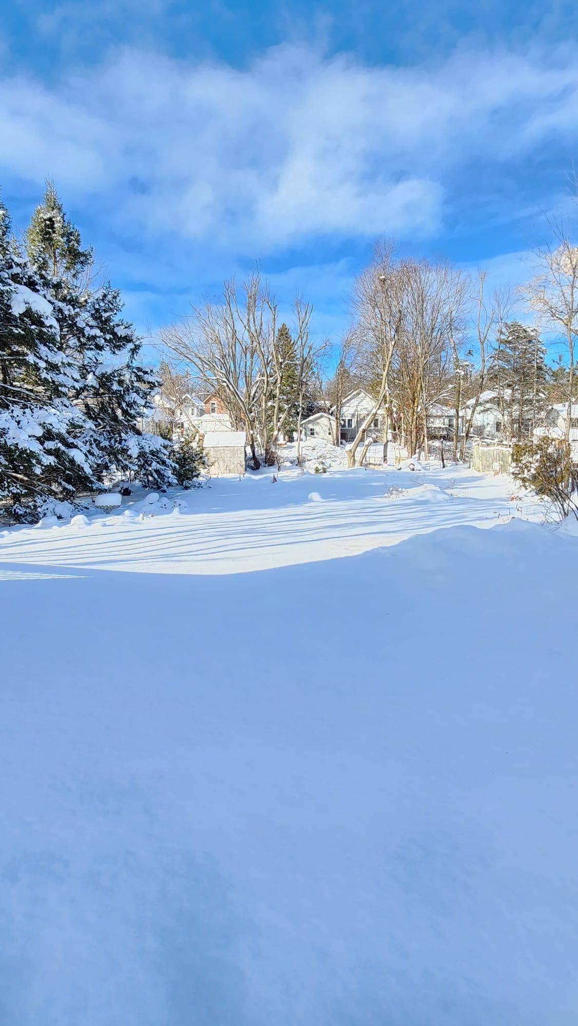 Orillia, ON L3V 3H9,280 John ST