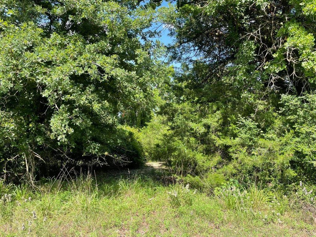Groesbeck, TX 76687,TBD 794