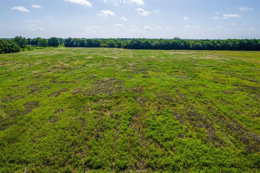 20 Acres TBD County Road 825, Blue Ridge, TX 75424