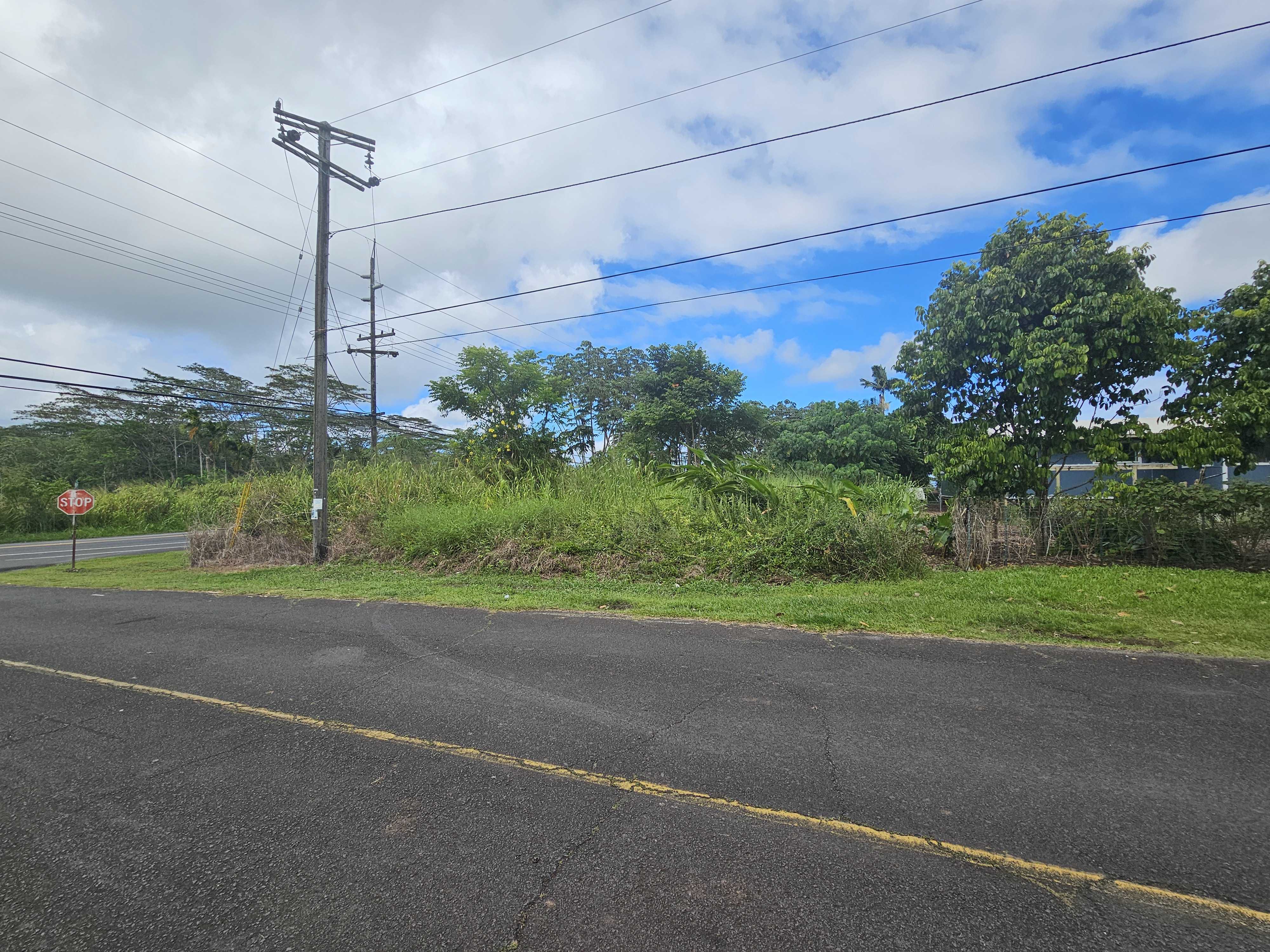 Pahoa, HI 96778,16-2035 AINALOA WAY