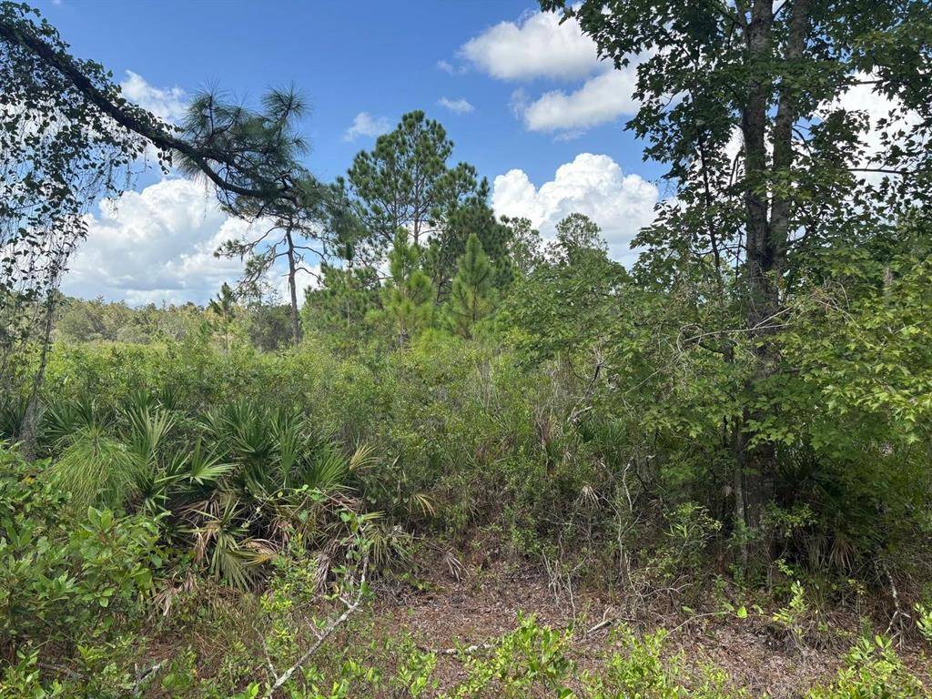 Kathleen, FL 33849,0 County RD 54 E