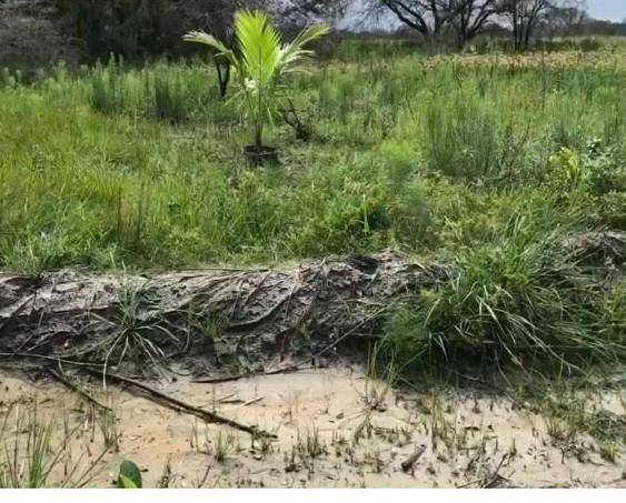 Okeechobee, FL 34972,16120 NW 300th St