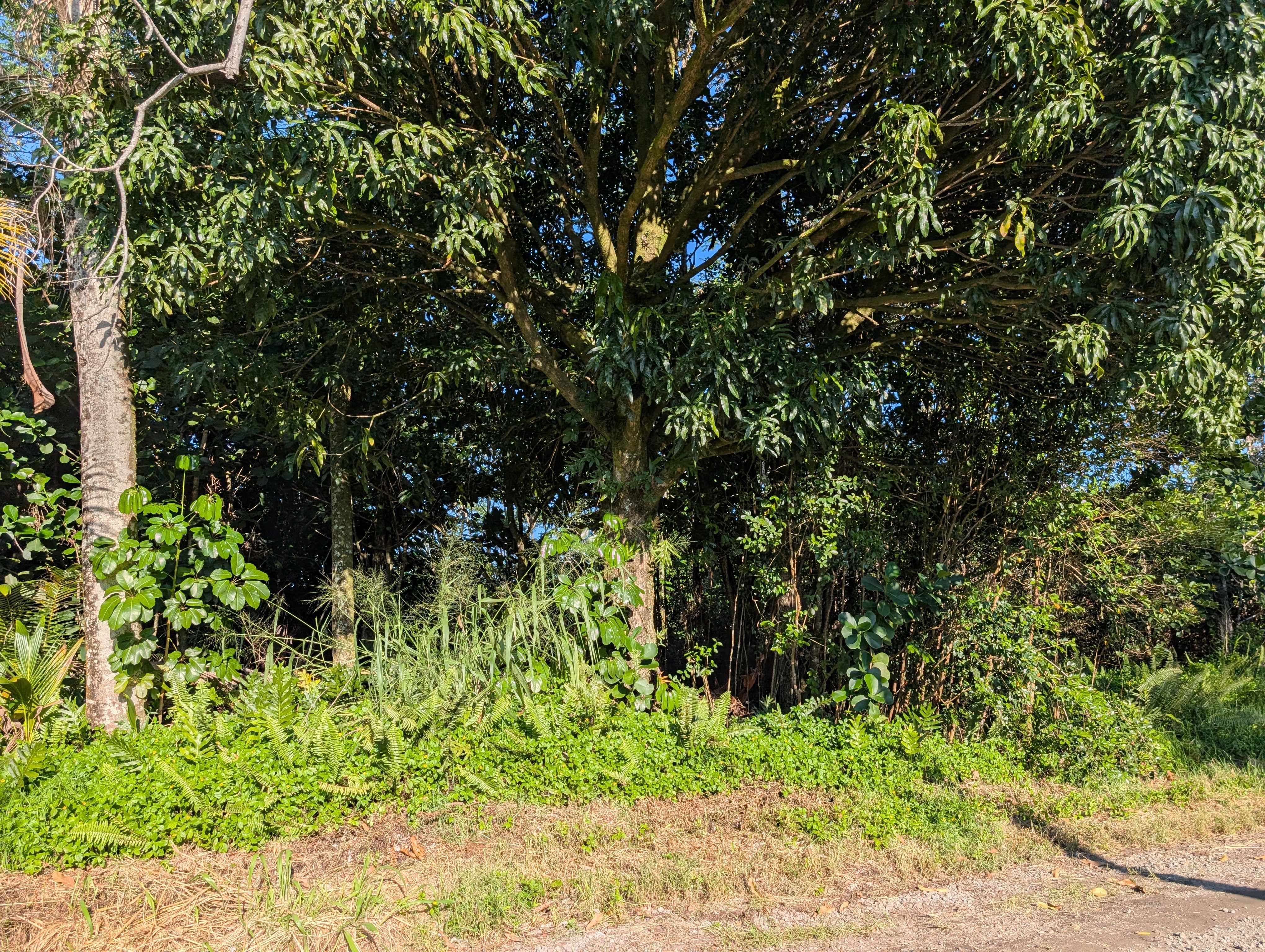 8TH AVE, Keaau, HI 96749