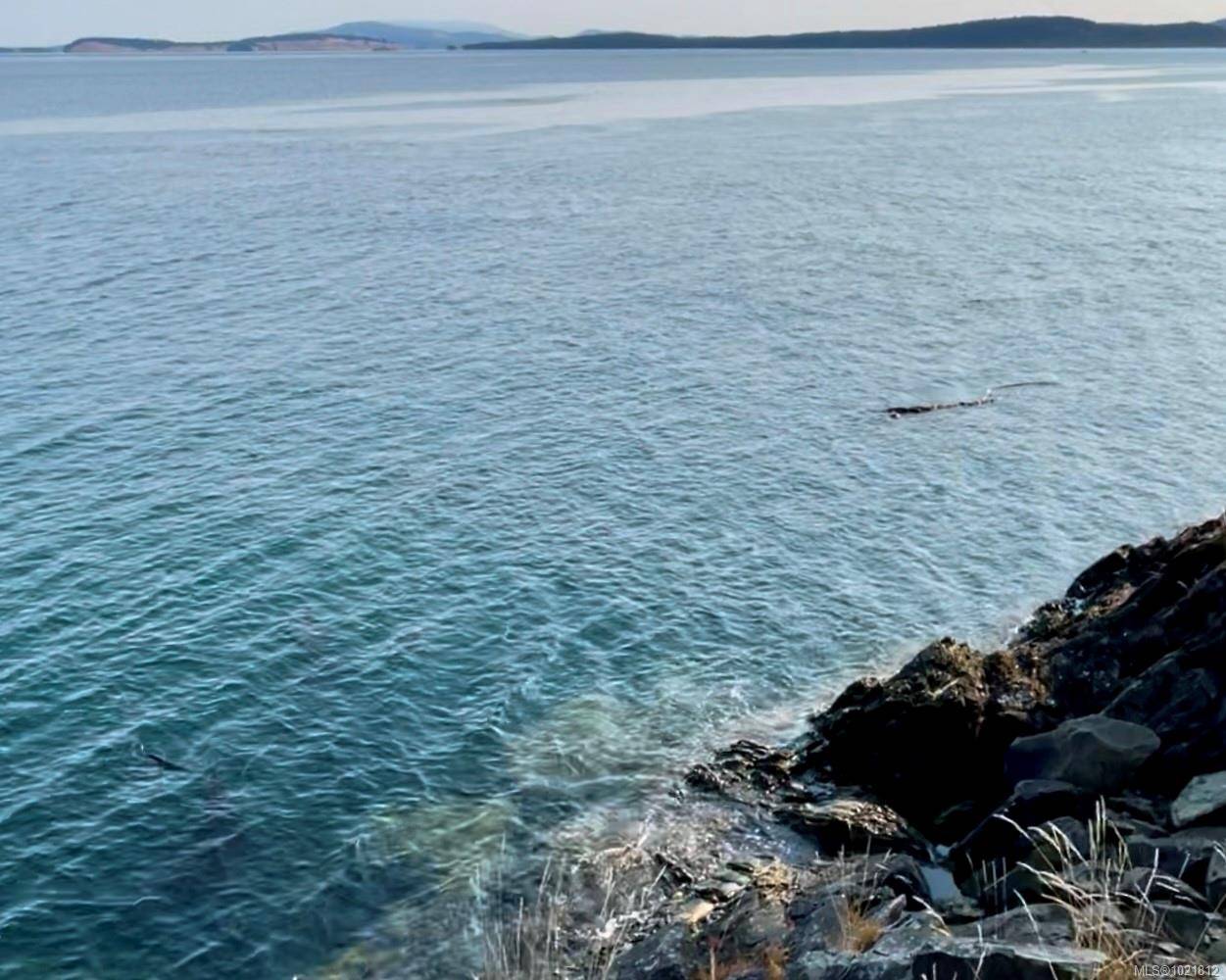 Sidney Island, BC V8L 5Y9,1324 Greenleaf Lane