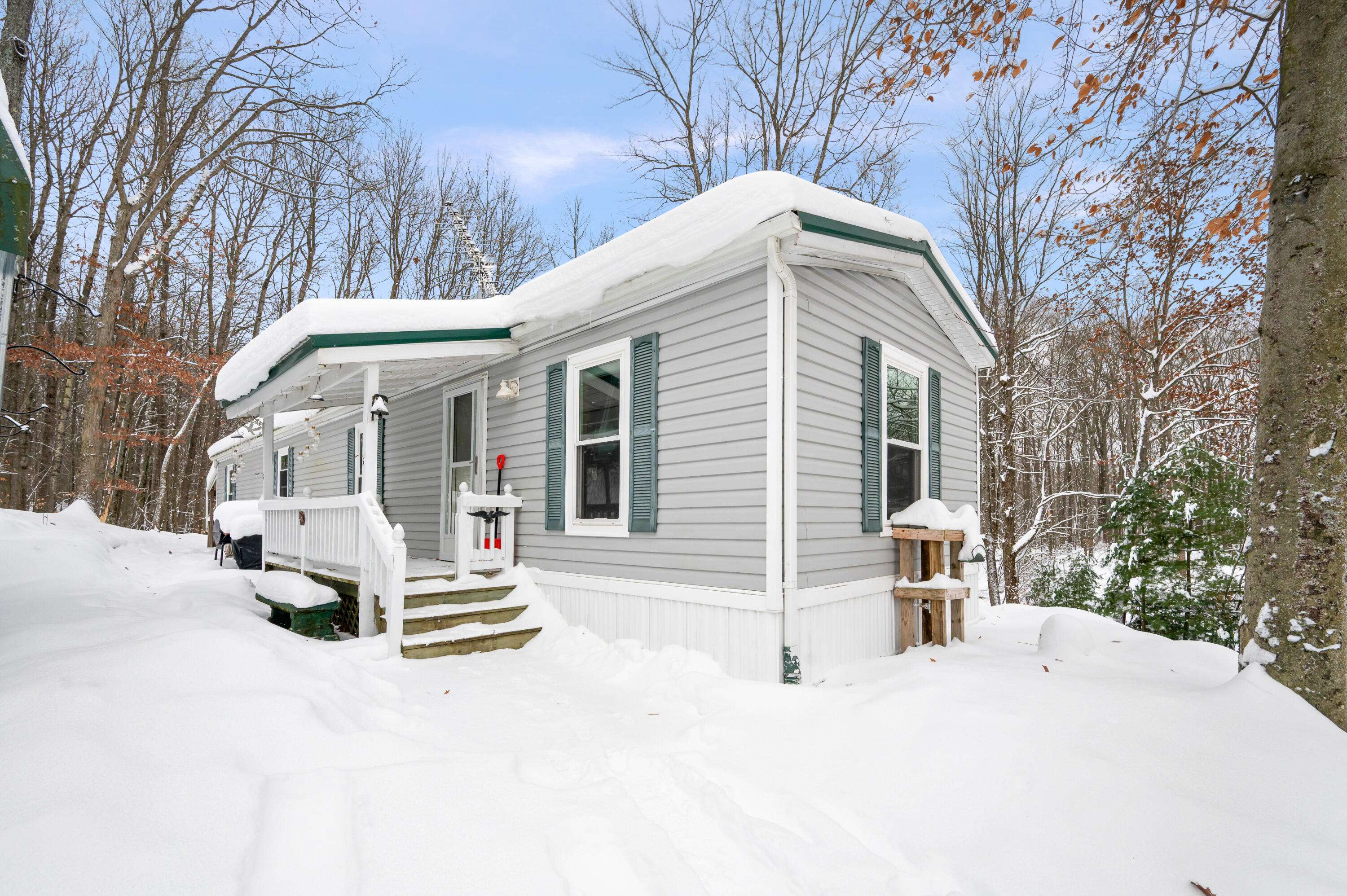 Reed City, MI 49677,10370 Schwyz DR