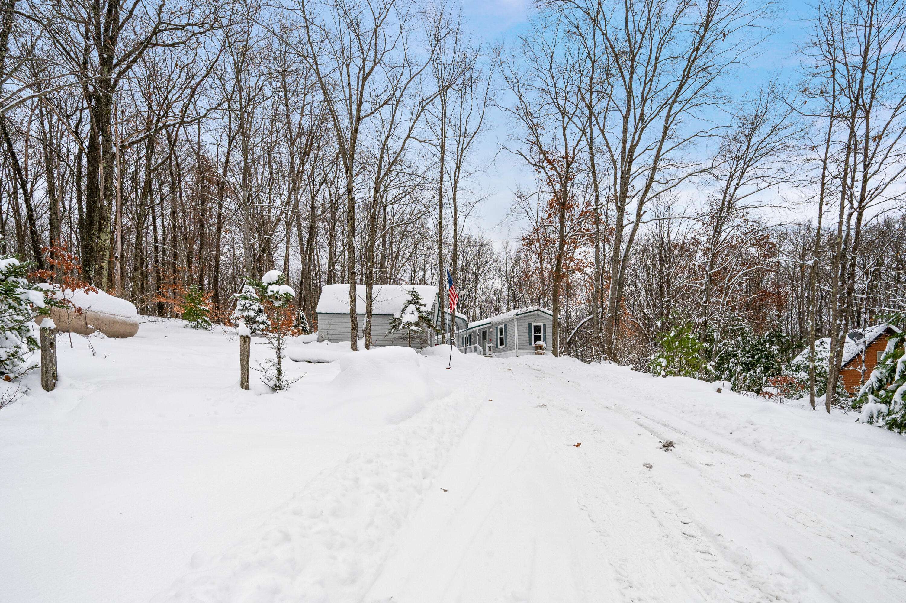 Reed City, MI 49677,10370 Schwyz DR