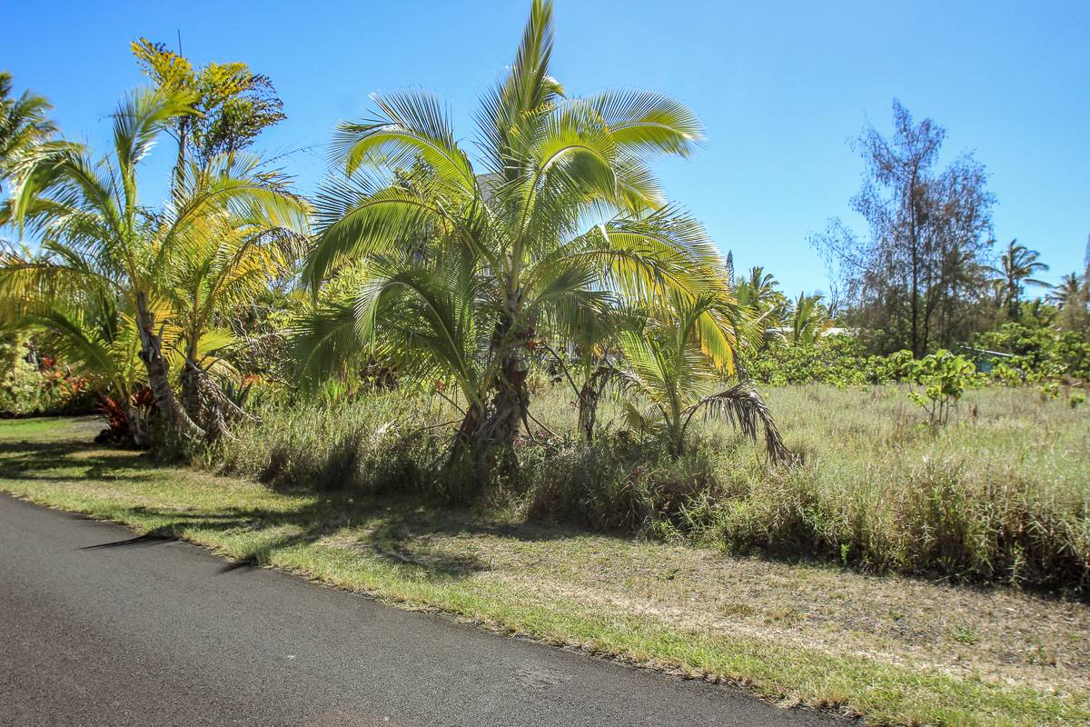 12-173 MAPUANA AVE, Pahoa, HI 96778