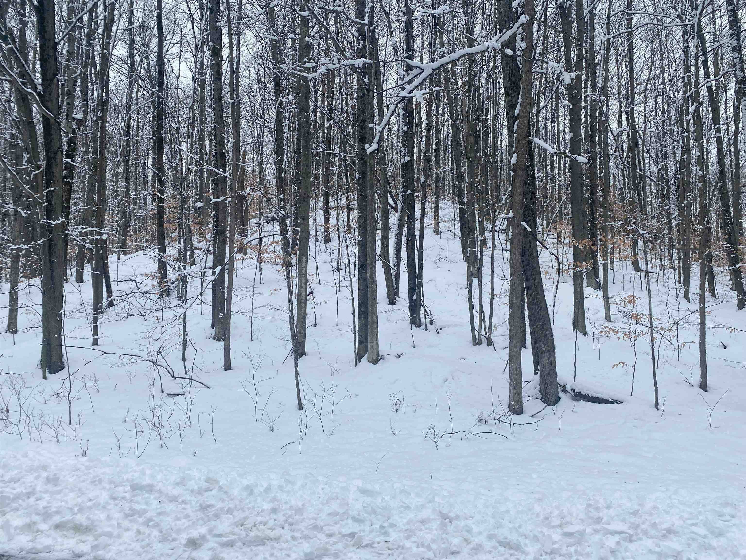 Bellaire, MI 49615,Lot 130 Maromir CT