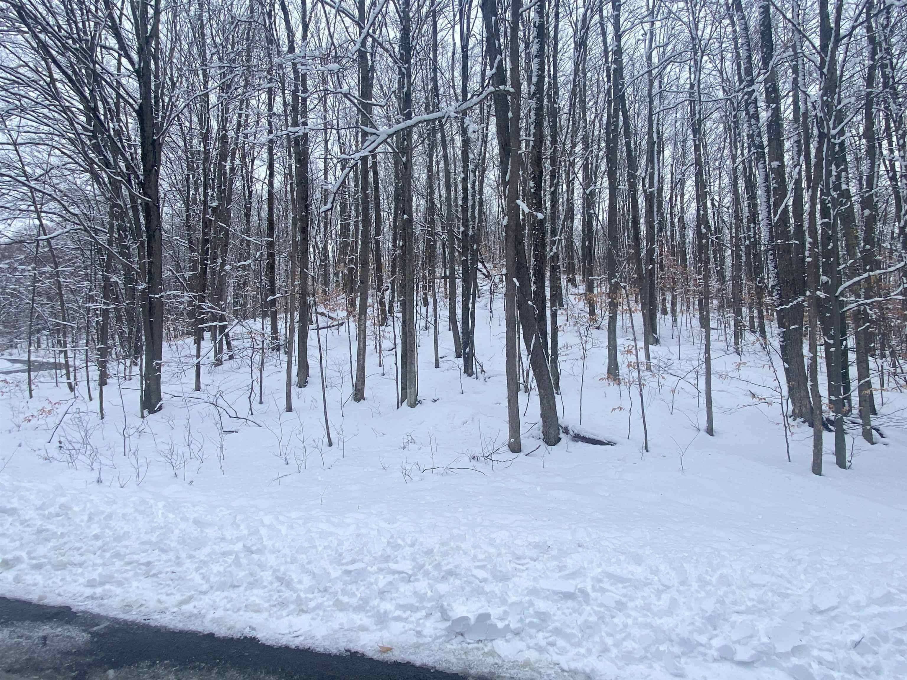 Bellaire, MI 49615,Lot 130 Maromir CT