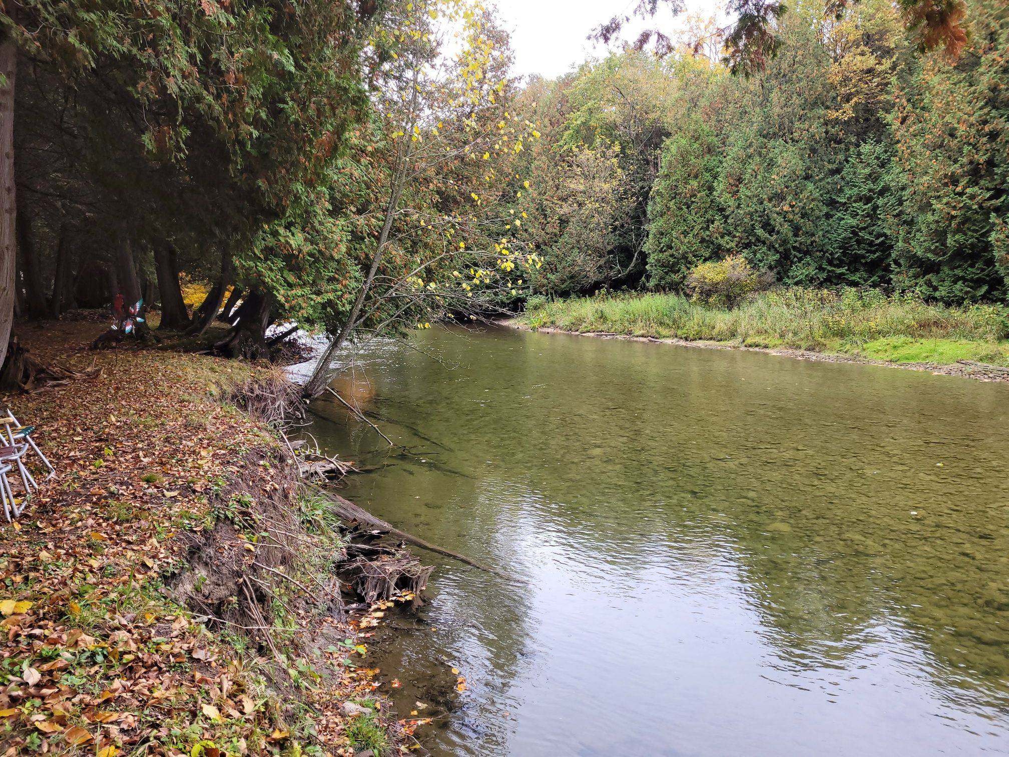 West Grey, ON N4N 3B9,199 Private LN