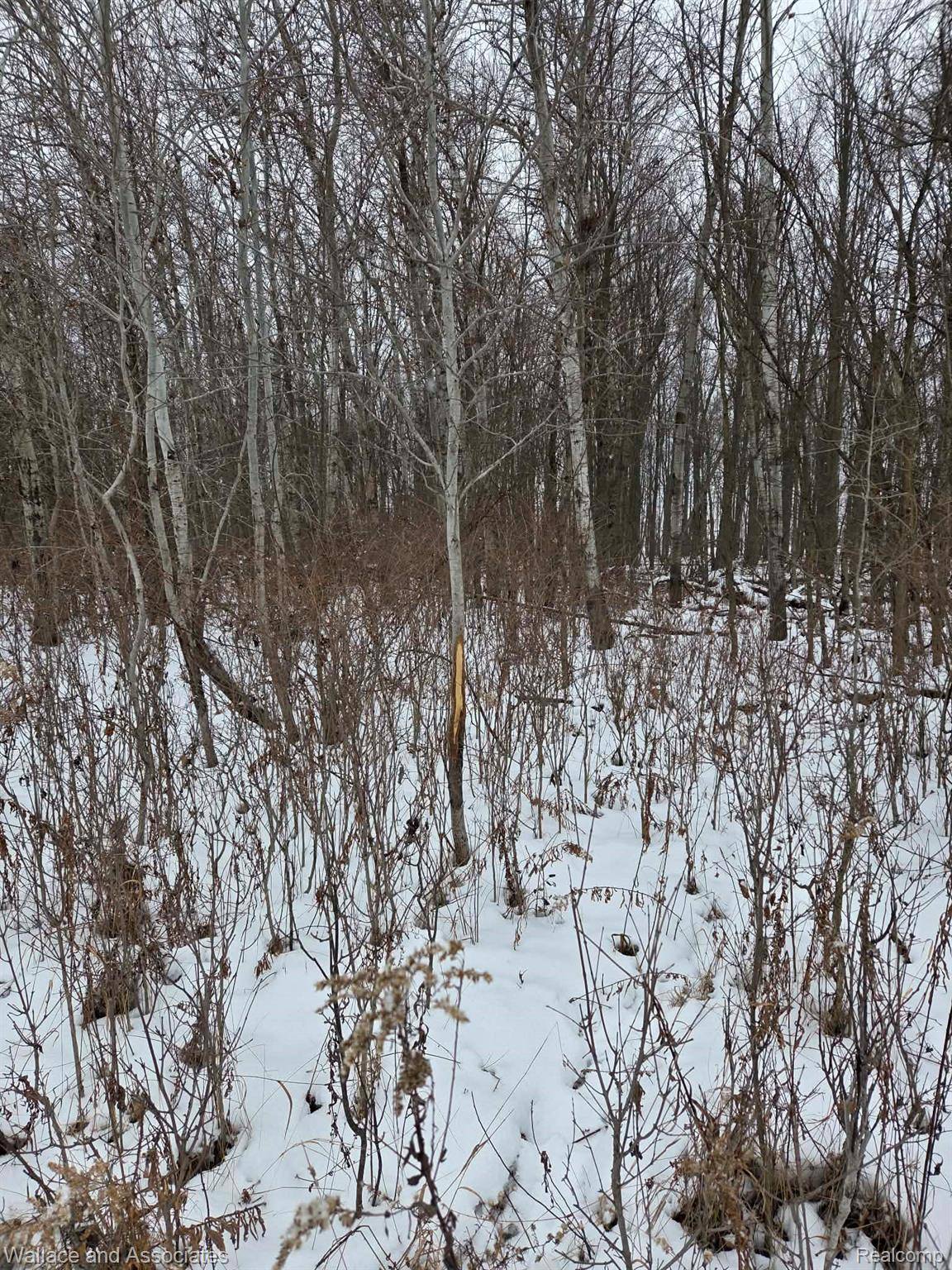 Decker, MI 48426,0000 Hadley RD