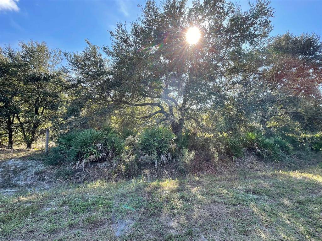 Okeechobee, FL 34972,18516 NW 310th St