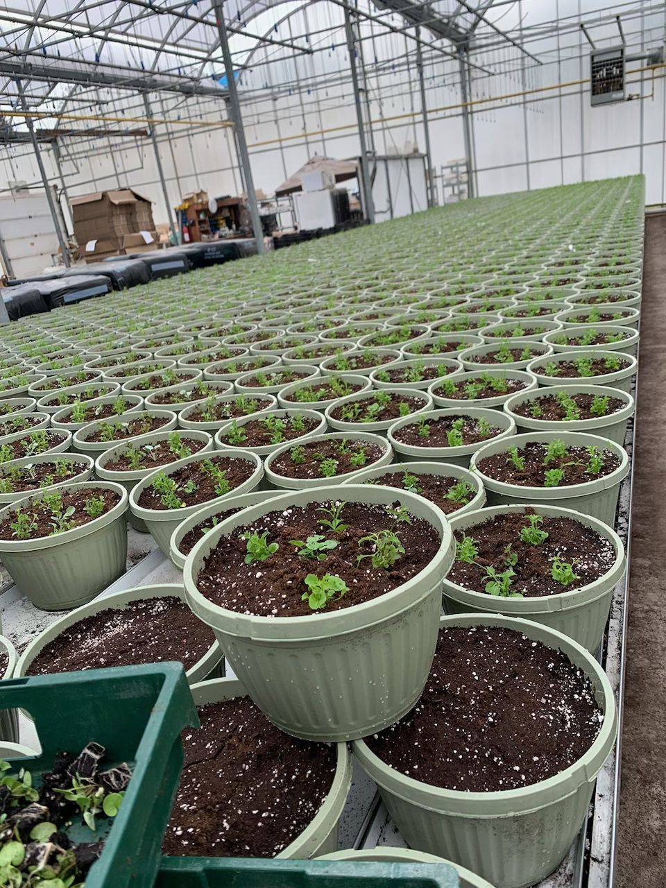 Niagara-on-the-lake, ON L0S 1S0,430 Concession 7 RD