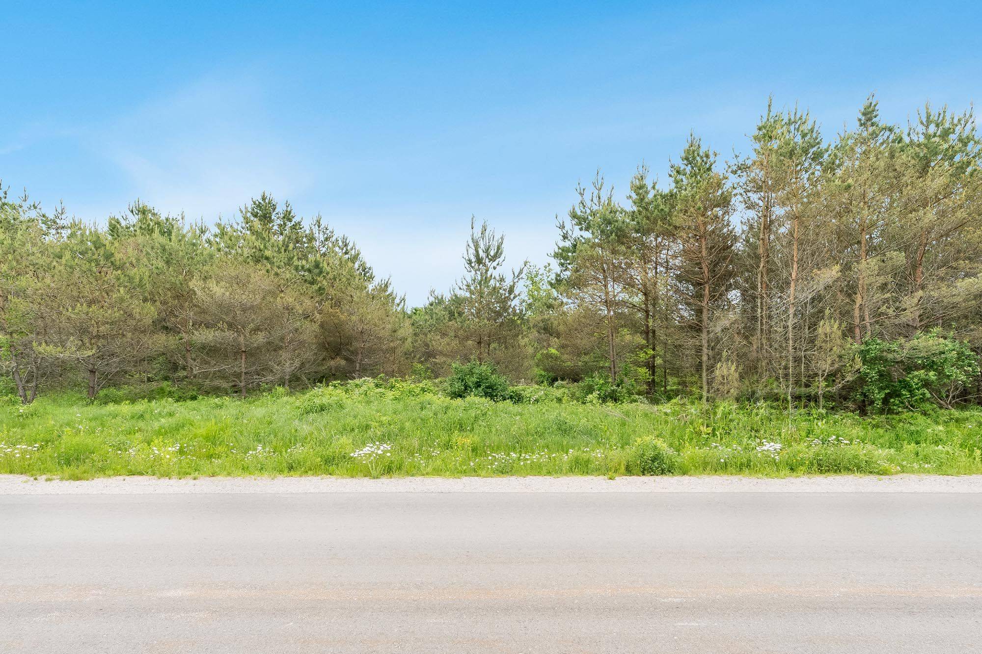 Tiny, ON L9M 0H1,Lot 29 Rue Eric N/A