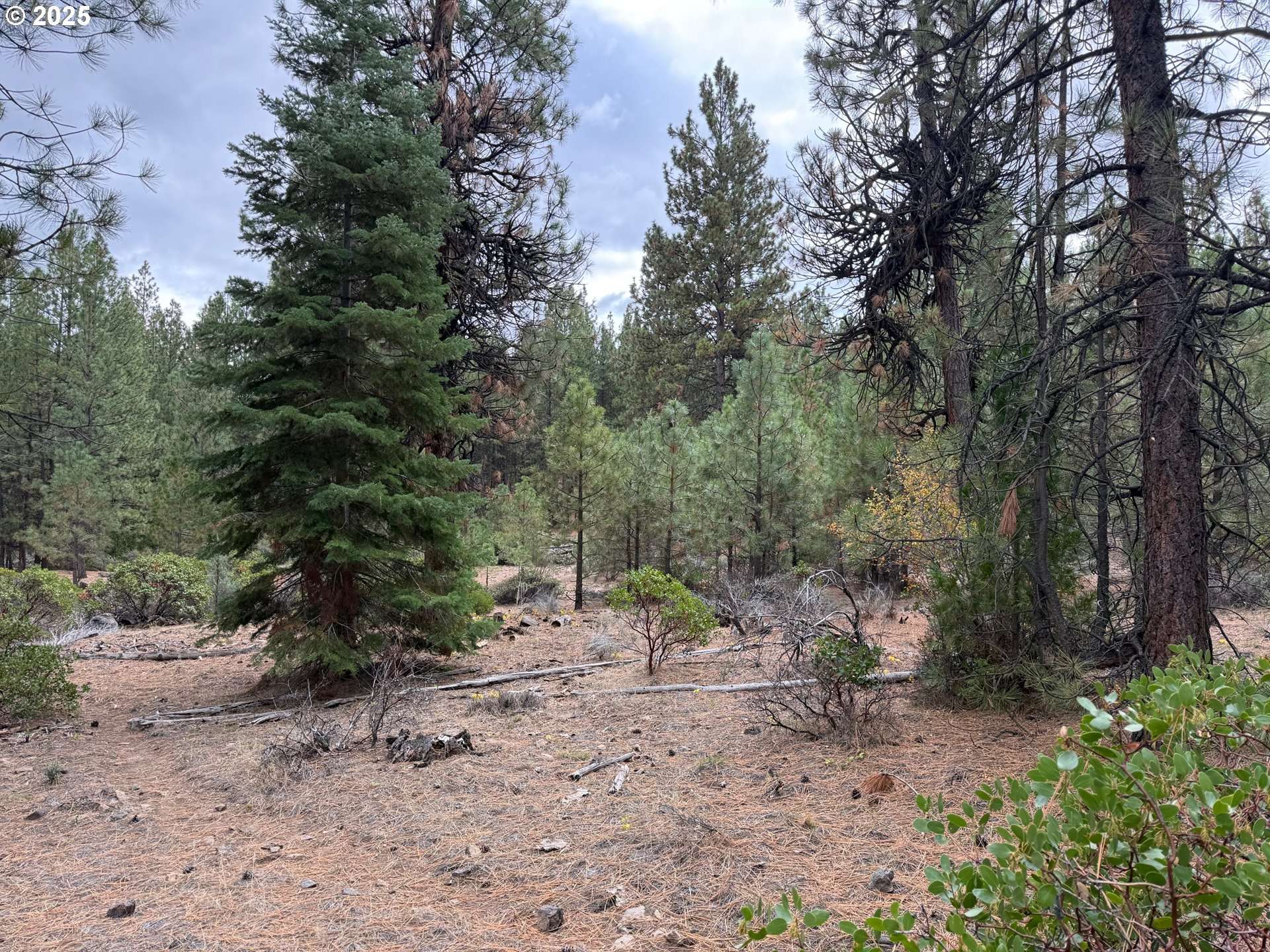 Beatty, OR 97621,0 whiskey creek RD