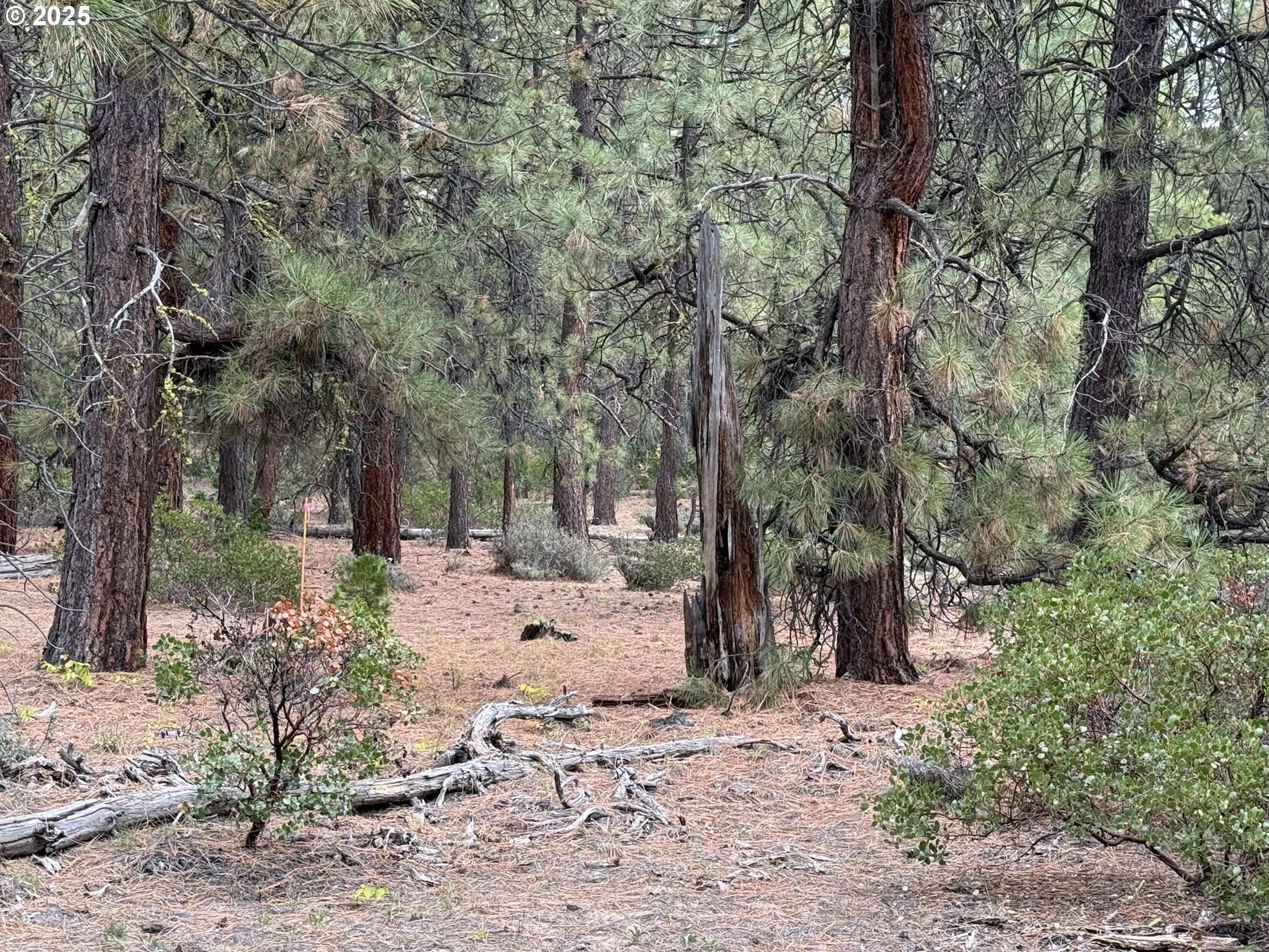 Beatty, OR 97621,0 whiskey creek RD