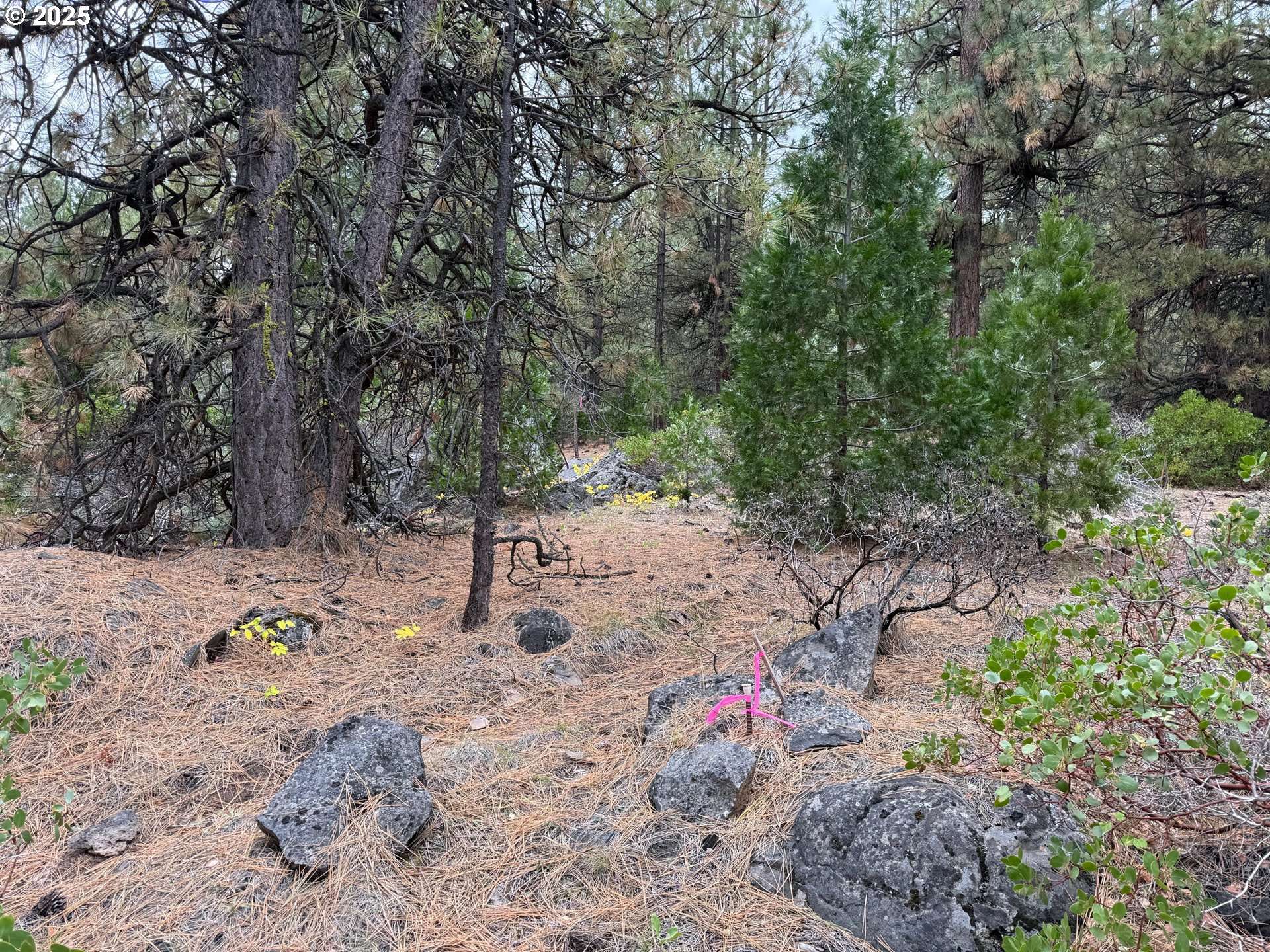 Beatty, OR 97621,0 whiskey creek RD