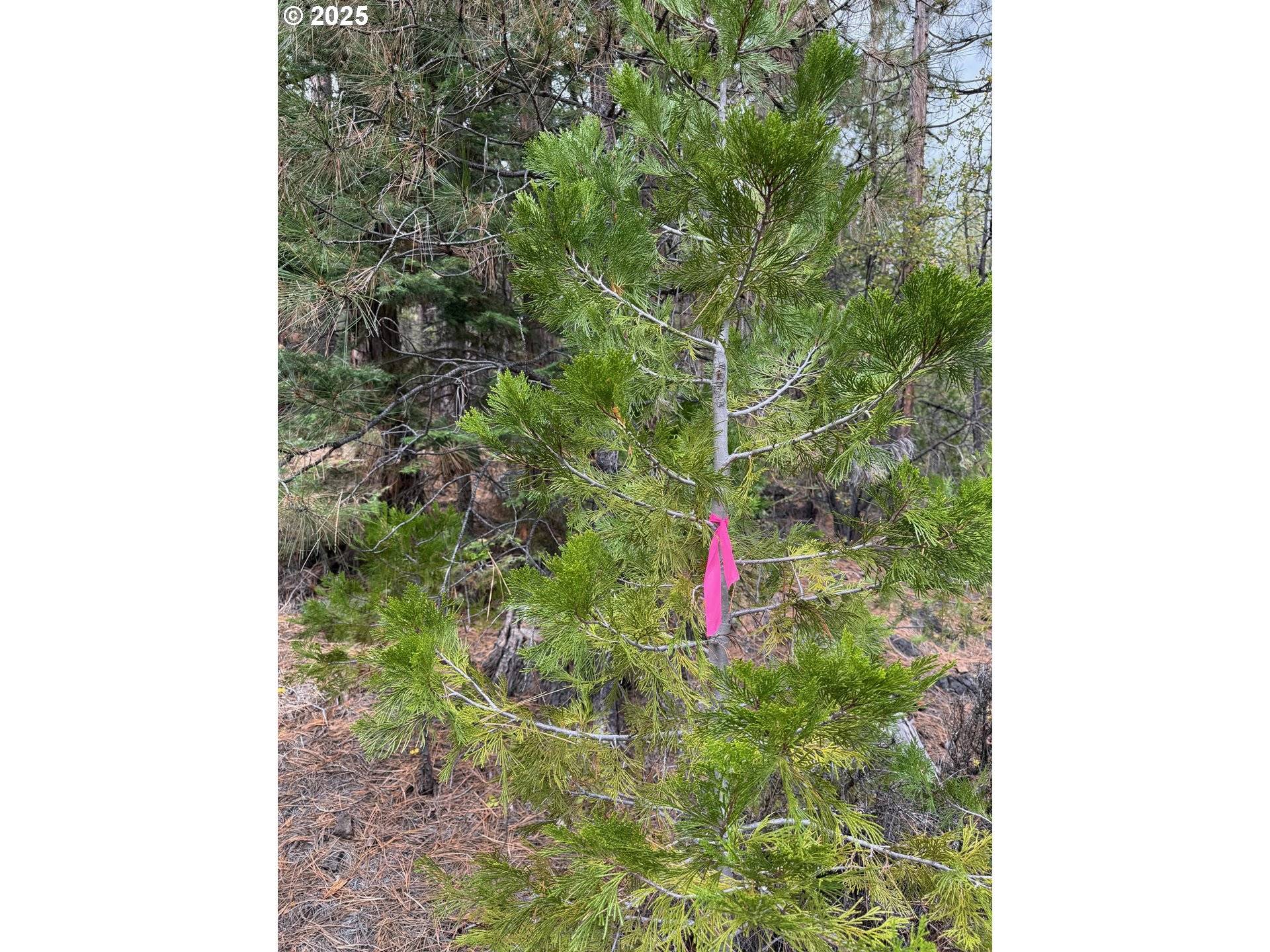 Beatty, OR 97621,0 whiskey creek RD