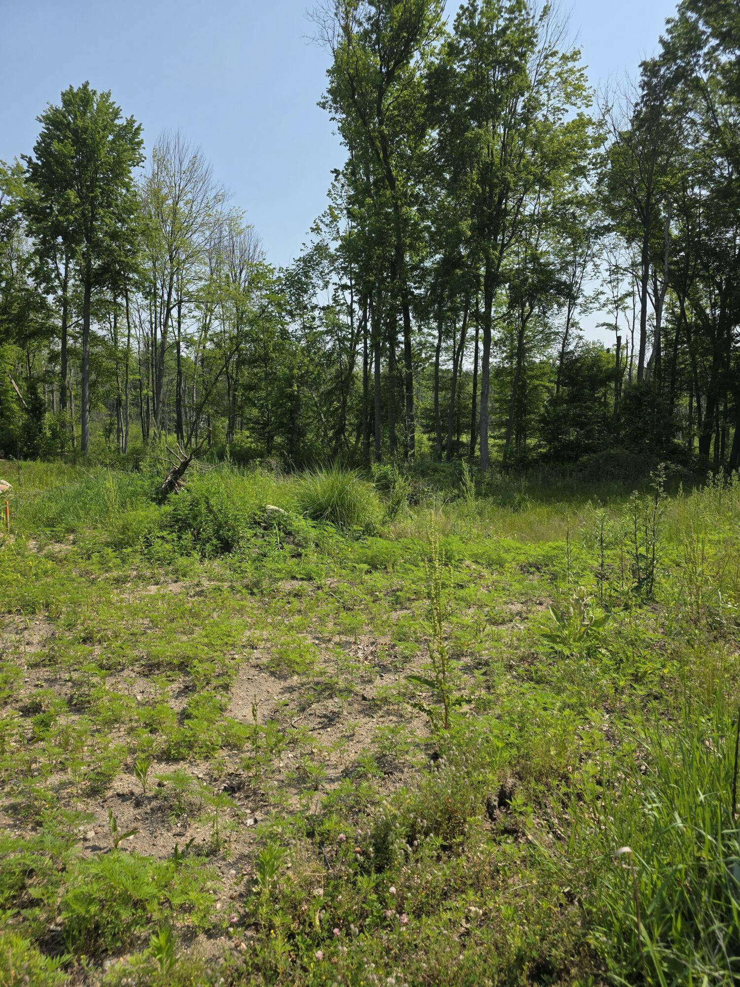 Portage, MI 49002,9421 Sassafras TRL #76