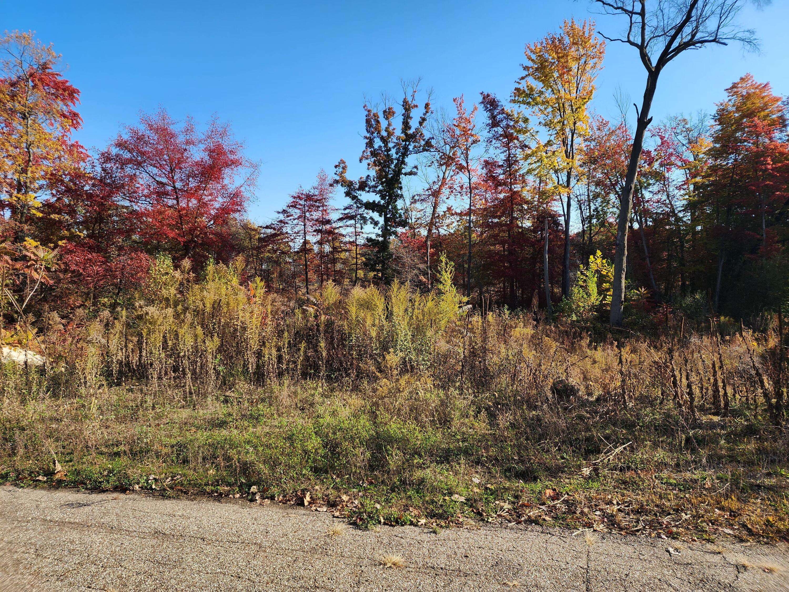 Portage, MI 49002,9421 Sassafras TRL #76