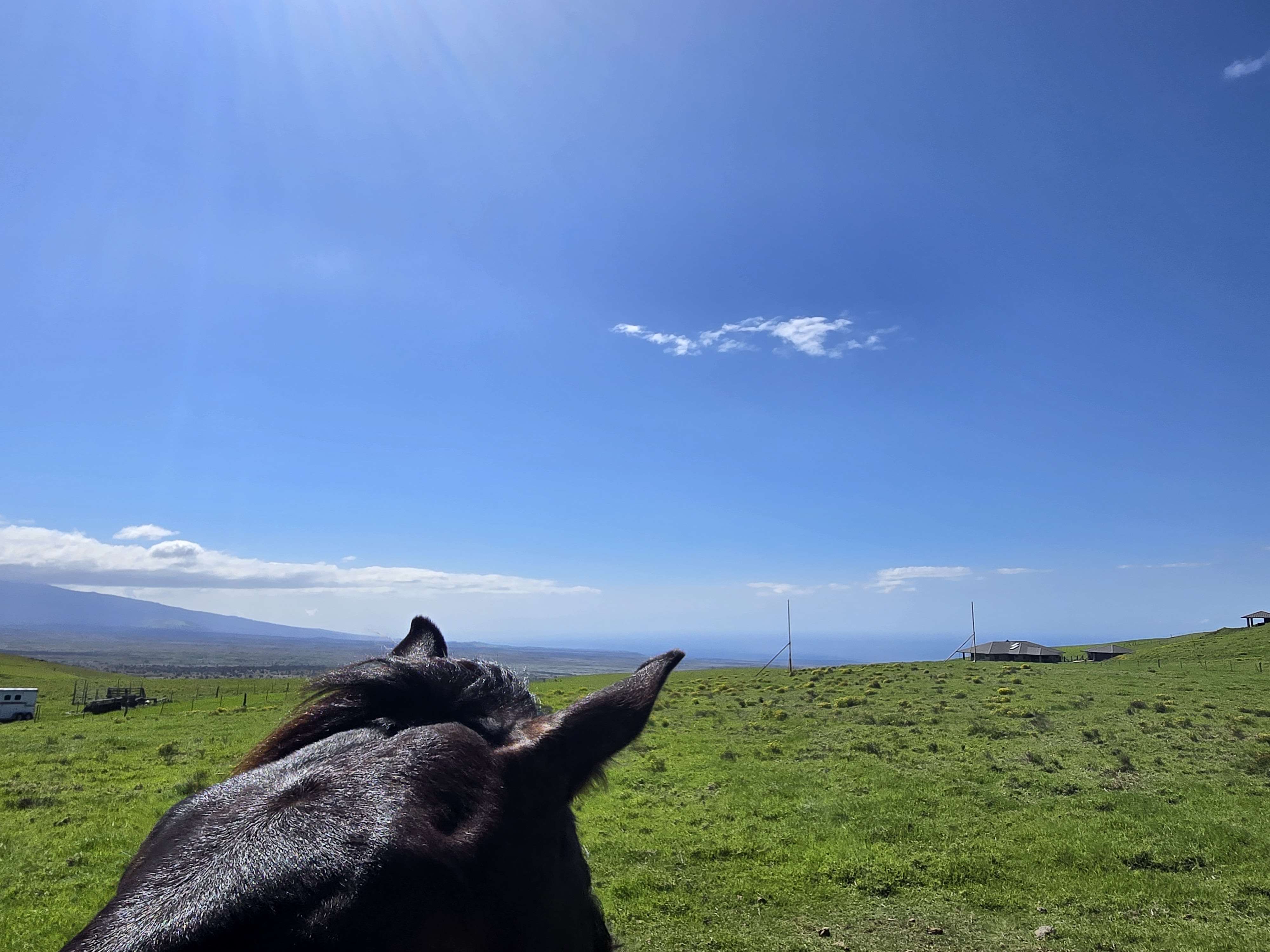 Kamuela, HI 96743,67-1148 WAINOENOE ROAD