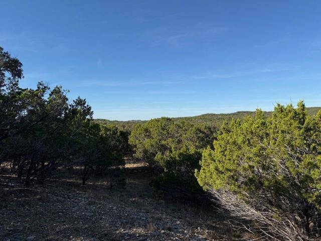 Canyon Lake, TX 78133,1406 Canyon Trace