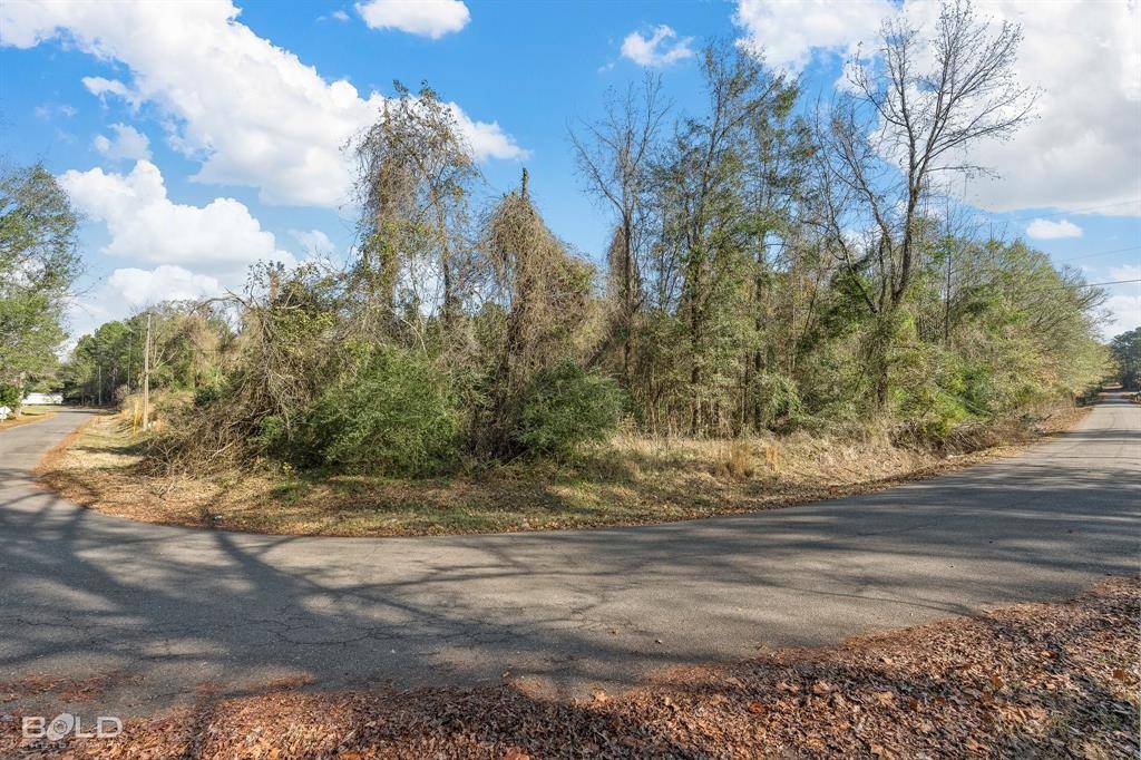Plain Dealing, LA 71064,Lot 5 Mockingbird Lane