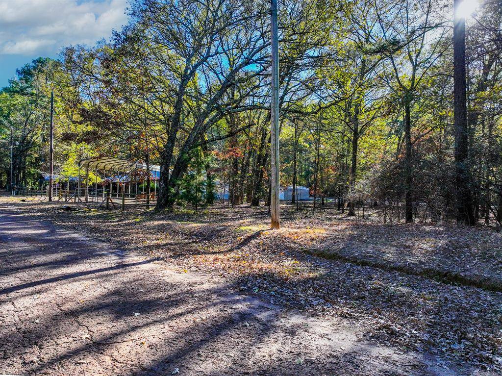 Mount Vernon, TX 75457,Lot 17 Sweet Gum Lane