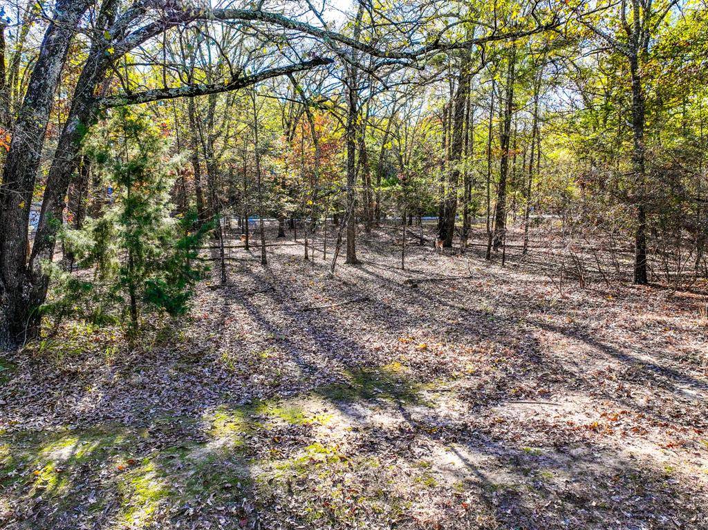 Mount Vernon, TX 75457,Lot 17 Sweet Gum Lane