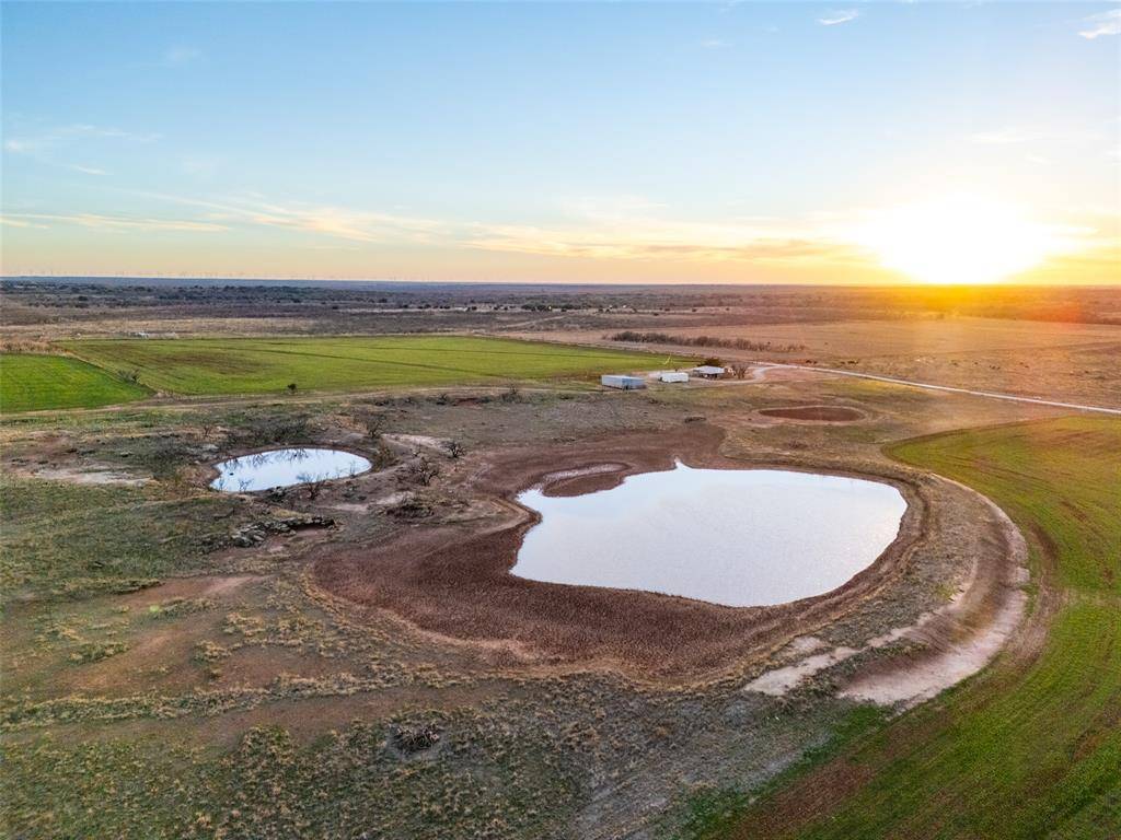 Olney, TX 76374,1299 Dunn Road