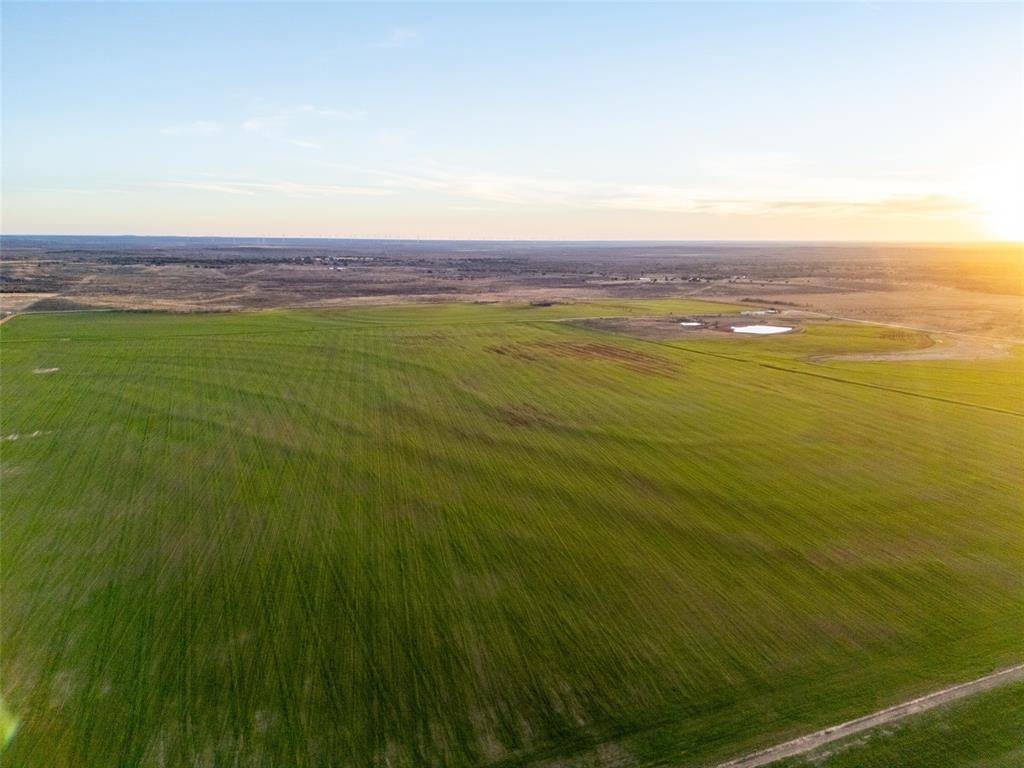 Olney, TX 76374,1299 Dunn Road