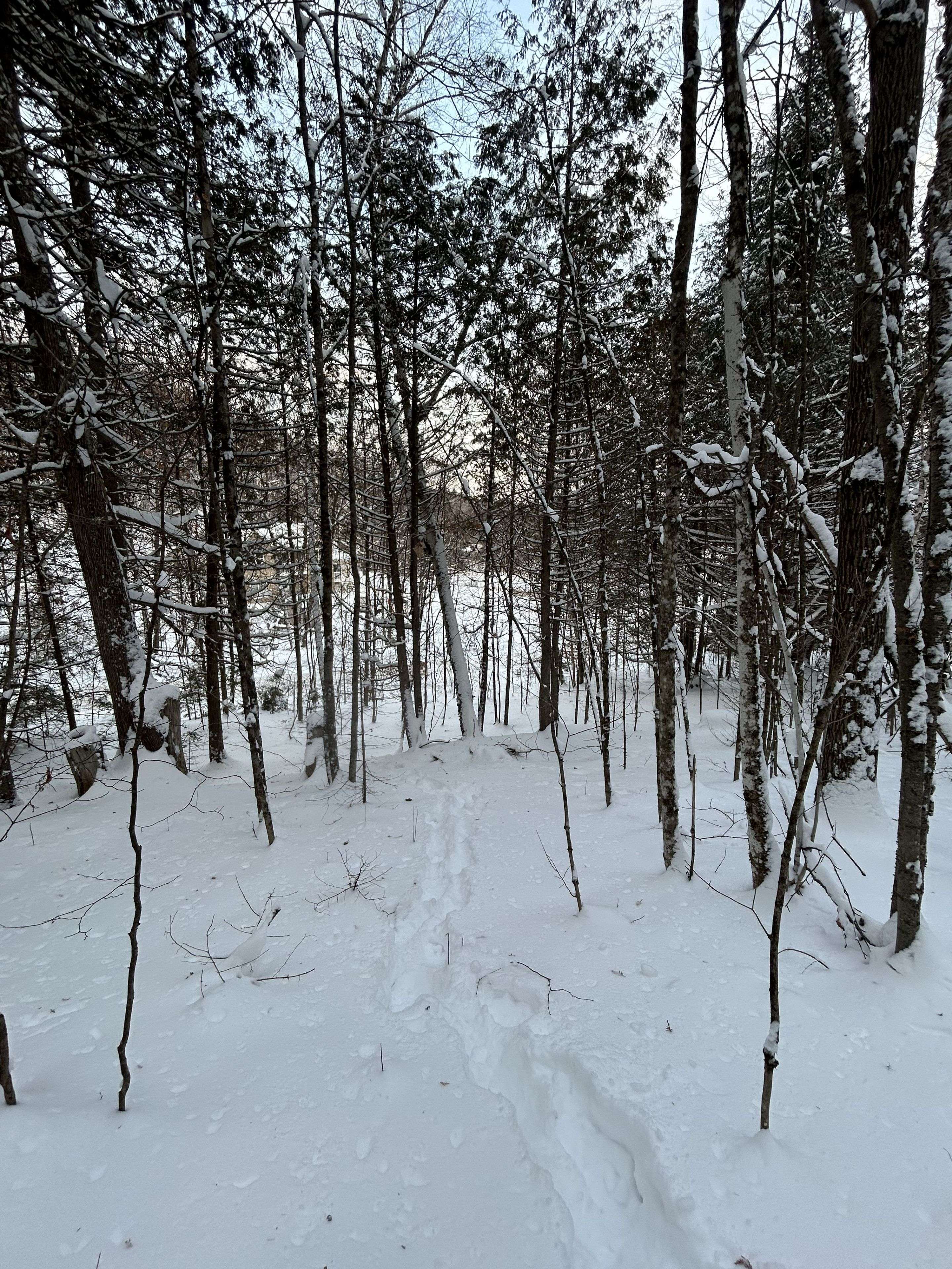 Bancroft, ON K0L 1C0,0 Pineridge RD