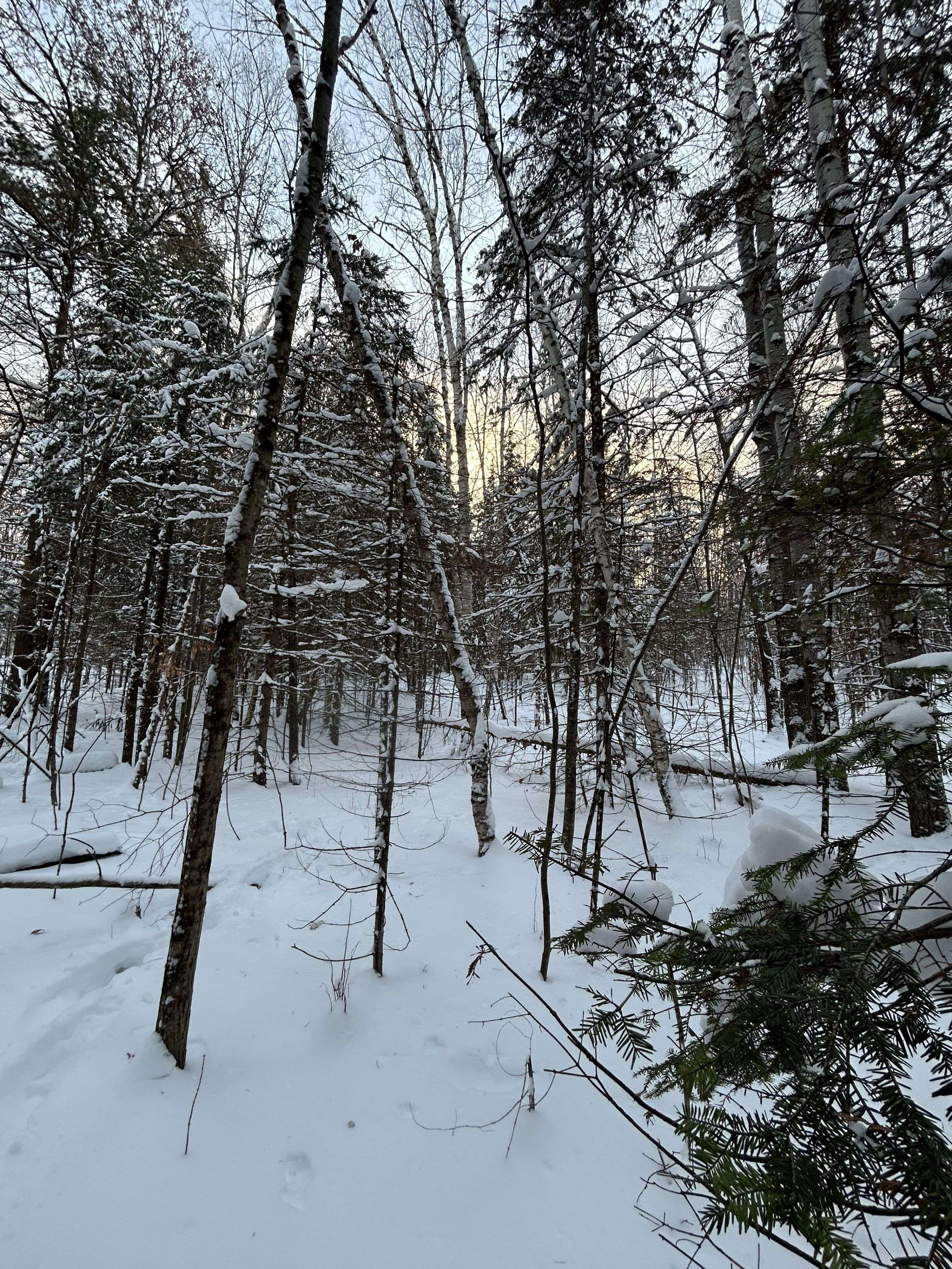 Bancroft, ON K0L 1C0,0 Pineridge RD