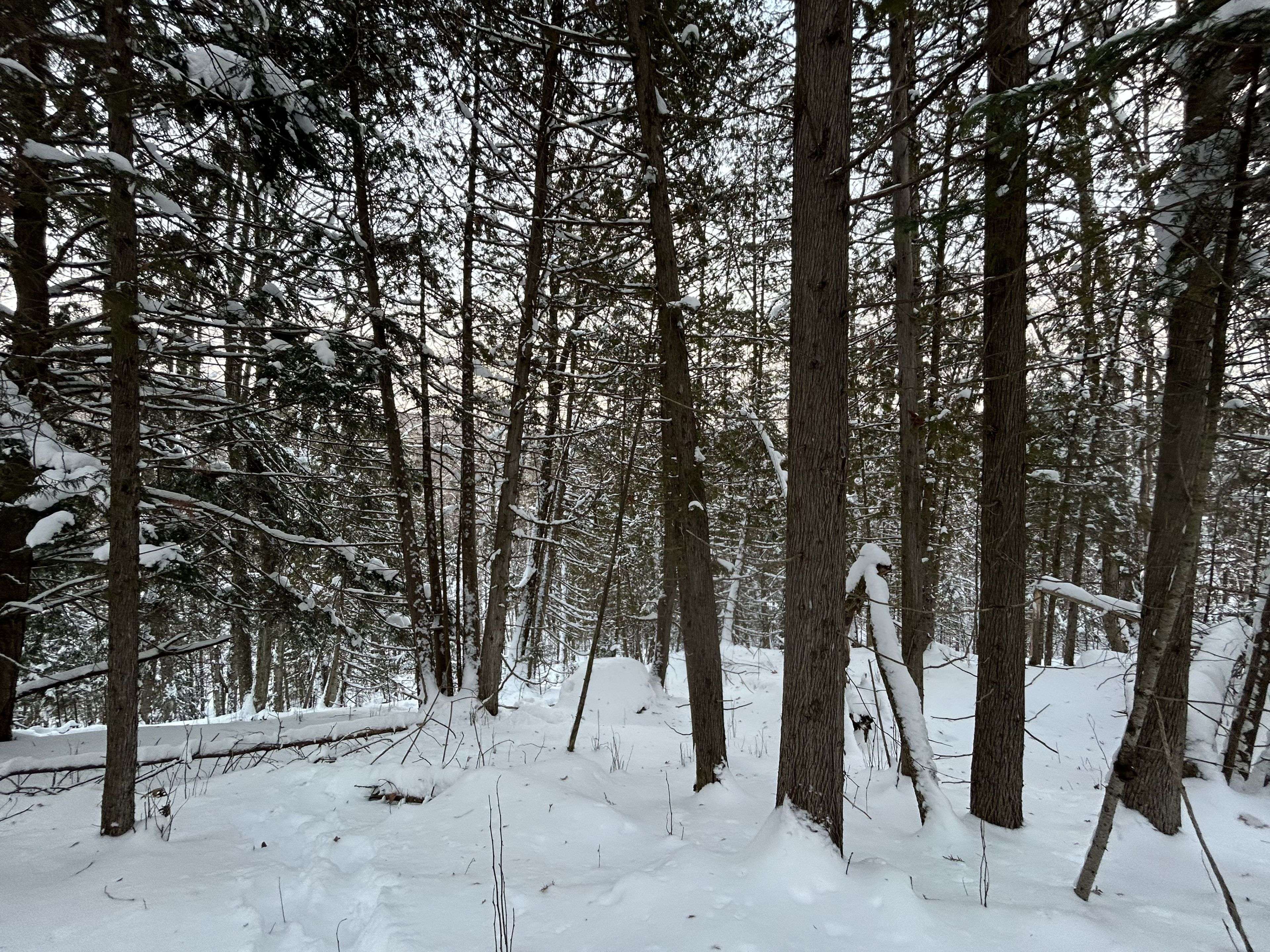 Bancroft, ON K0L 1C0,0 Pineridge RD