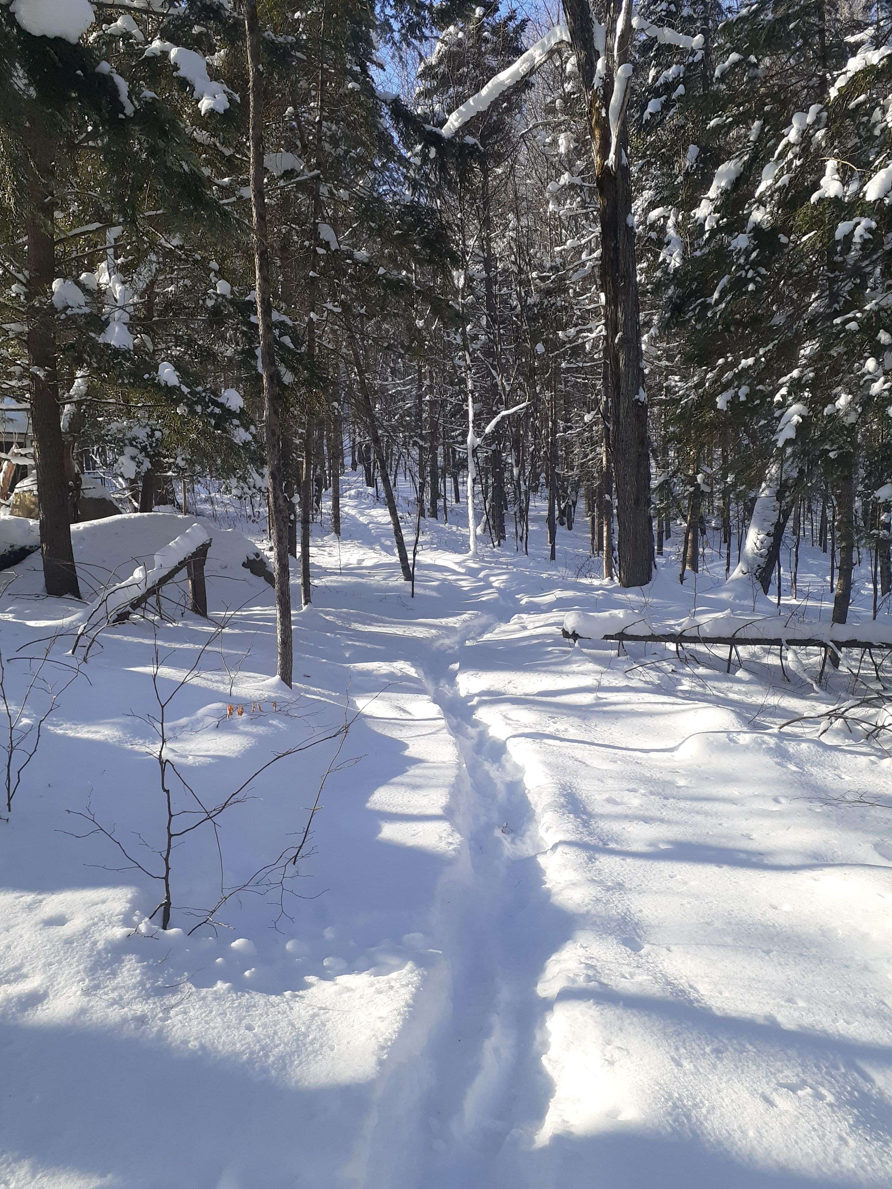 Huntsville, ON P1H 2J2,1474 Etwell RD