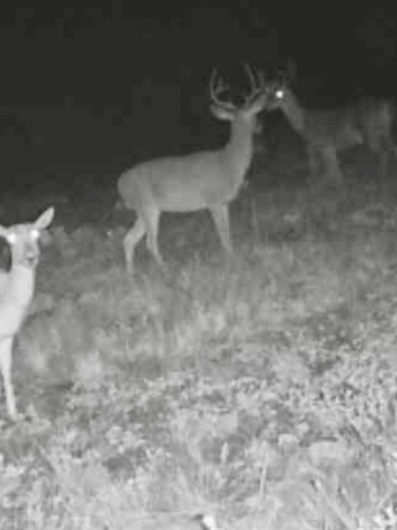 Menard, TX 76825,43 Cave Well Ranch