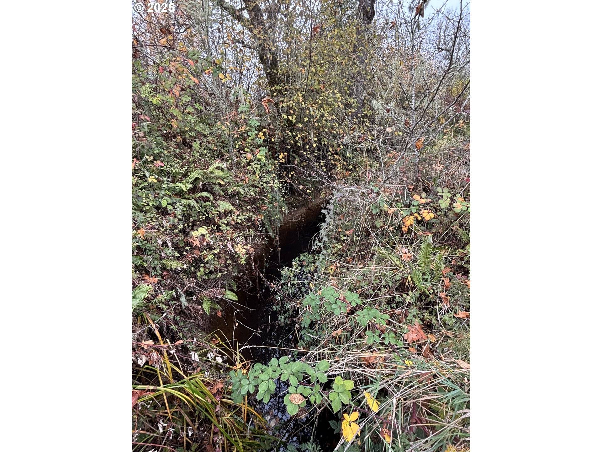 Eugene, OR 97402,Battle Creek Rd