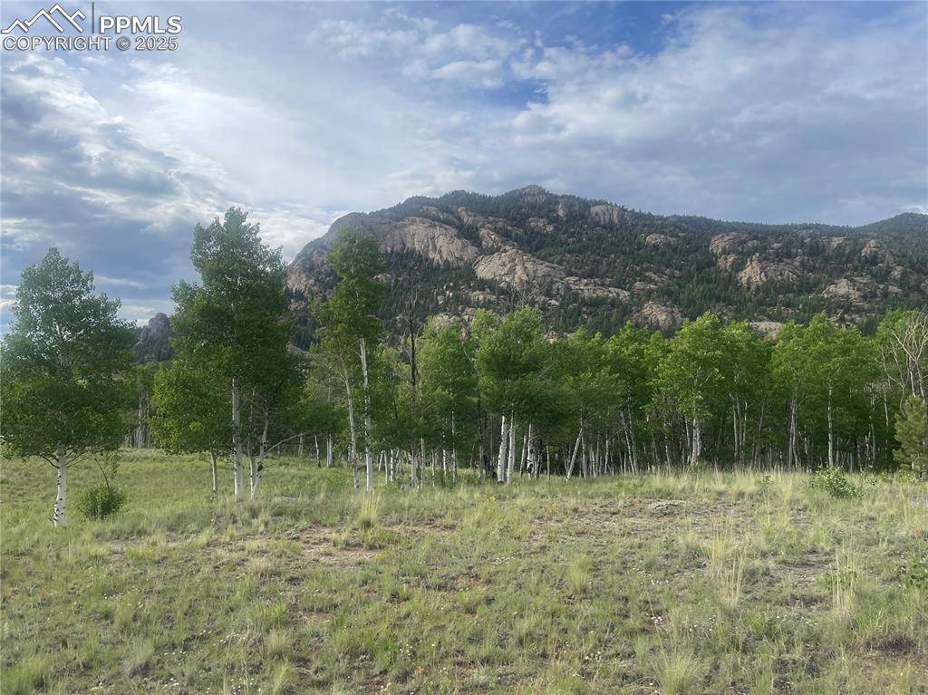 171 Emerald WAY, Lake George, CO 80827