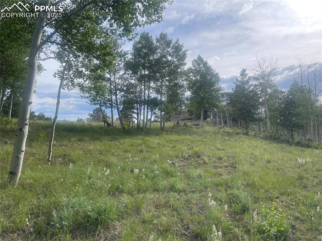 171 Emerald WAY, Lake George, CO 80827