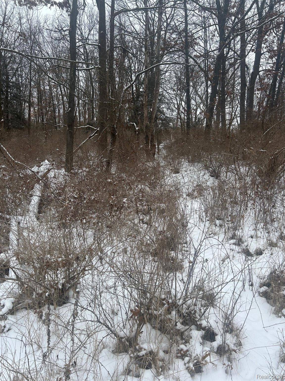 12840 LARKINS RD, Brighton Twp, MI 48114