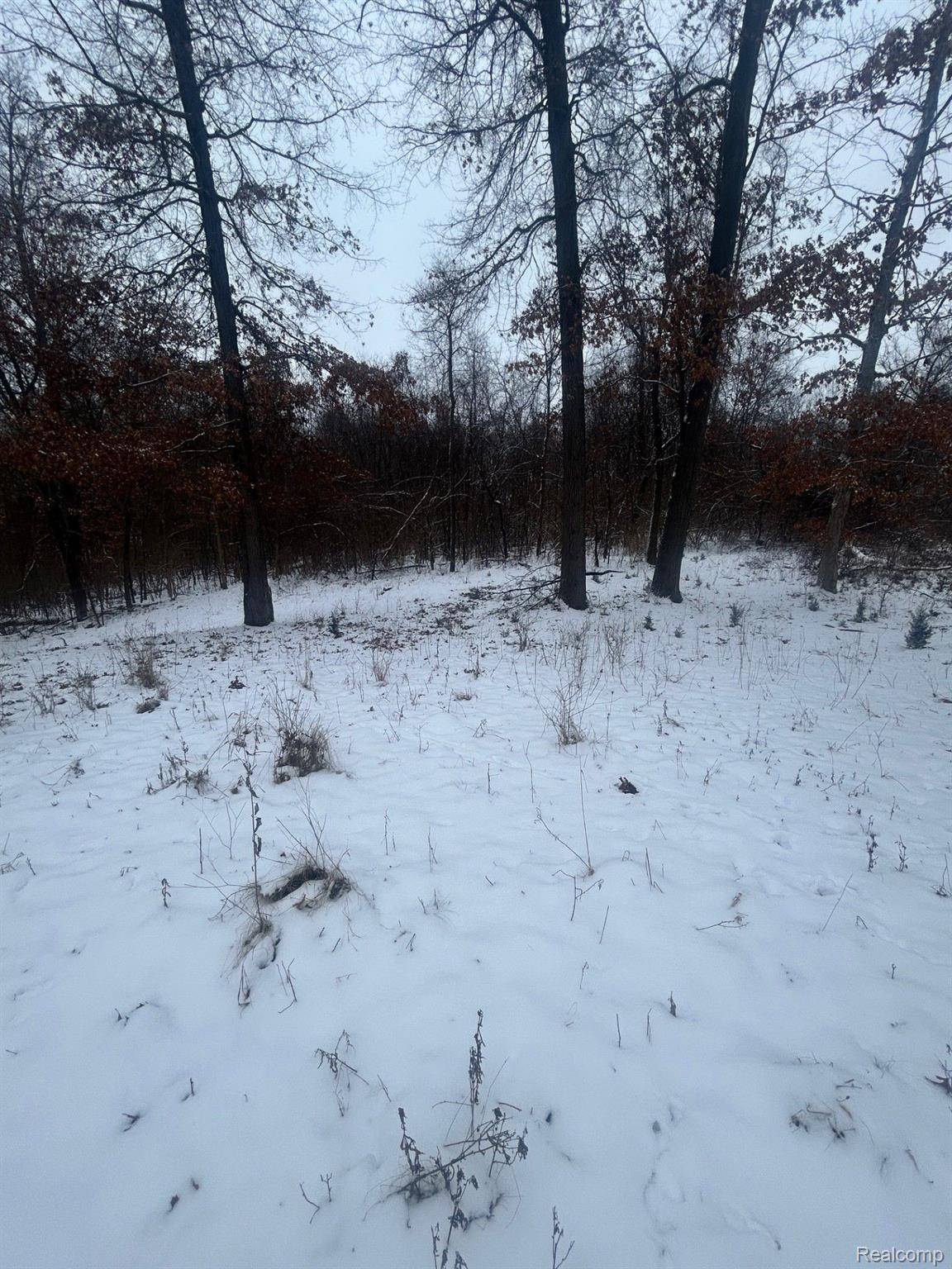 12840 LARKINS RD, Brighton Twp, MI 48114